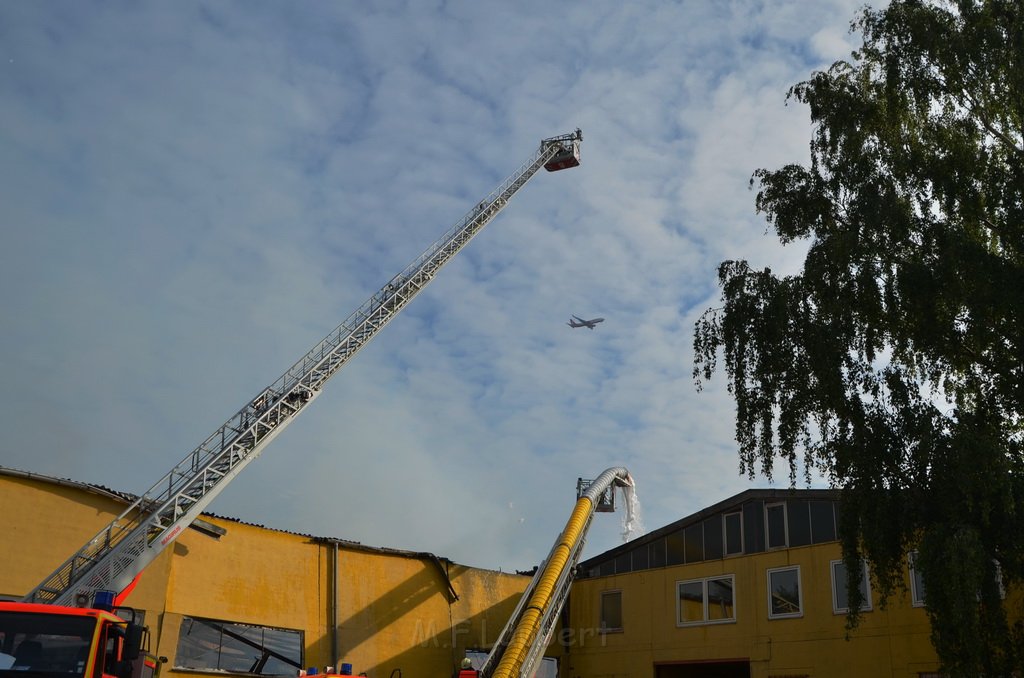 Grossfeuer Poco Lager Koeln Porz Gremberghoven Hansestr P520.JPG - Miklos Laubert